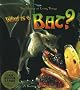 What Is a Bat (Science of Living Things)