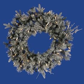  24 inch Pre-Lit Frosted Wistler Fir Artificial Christmas Wreath - Clear DuraLights