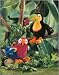 Tookie Toucan