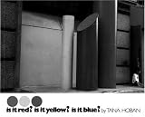 Is It Red? Is It Yellow? Is It Blue? Is It Red? Is It Yellow? Is It Blue?