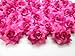 (100) Silk Two Tone Dark Pink Roses Flower Head - 1.75