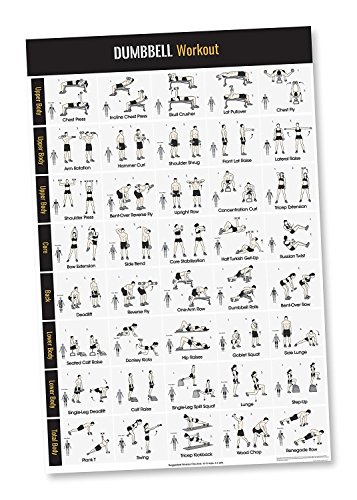 Dumbbell Bodyweight Exercise Poster - Home Gym Workouts - Strength Training - Build Muscle Lose Fat - Fitness Workout Poster - Workout Routines Chart - Core Strength Bodybuilding - 20 x 30.5 Inches
