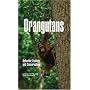Orangutans: Behavior, Ecology, and Conservation
