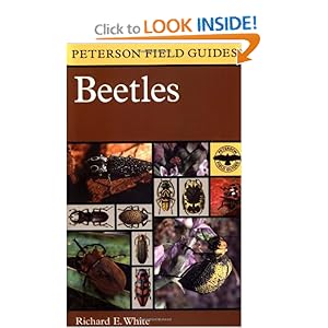Beetles : A Field Guide to the Beetles of North America Richard E. White, Roger Tory Peterson and Peterson