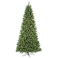 Frasier Fir Narrow Tree Green