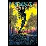 Swamp (Mirage) Flocked Blacklight Poster Print - 24" X 36"