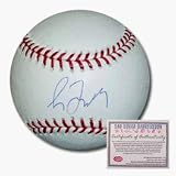 Greg Maddux Autographed MLB Baseball