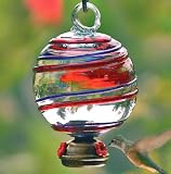 Dew Drop