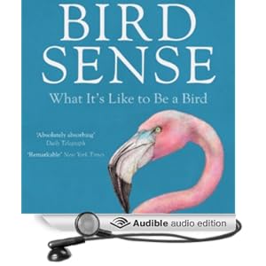 Bird Sense - What It's Like to Be a Bird - Tim Birkhead