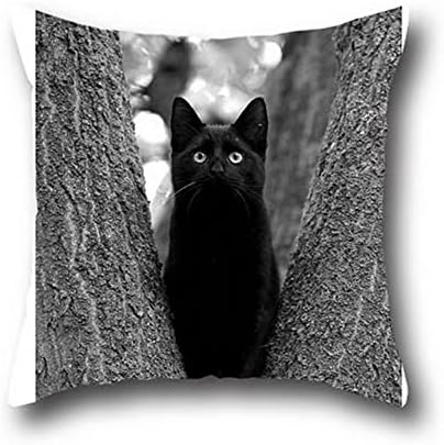 Goling Bbay Black Cat Art Painting 100% Cotton Standard Size Sureguard Pillow Protectors Retro Pillow Case Bear ( 20*20 )