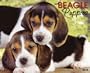 Just Beagle Puppies Calendar