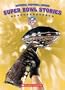 Super Bowl Stories (Nfl)