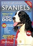 English Springer Spaniels