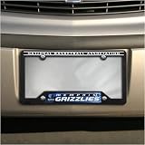 Memphis Grizzlies Black Plastic License Plate Frame