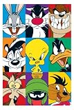 Looney Tunes - Characters - Film Movie Poster