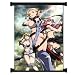 Queen's Blade Anime Fabric Wall Scroll Poster (31