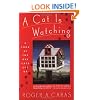 Cat is Watching