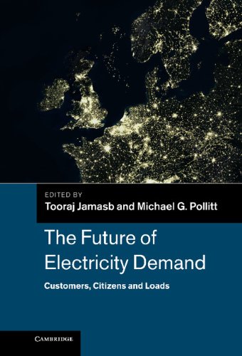 The Future of Electricity Demand: Customers, Citizens and Loads (Department of Applied Economics Occasional Papers)