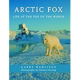 Arctic Fox: Life at the Top of the World