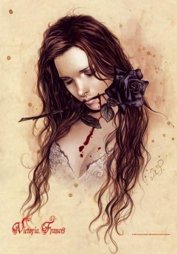 Victoria Frances - Black Rose 30'' x 40'' Textile/Fabric Poster