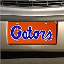Florida Gators Orange Mirrored License Plate