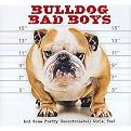 Bulldog Bad Boys (And Some Pretty Uncontrollabull Girls, Too!) (Hardcover)