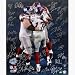 New York Giants 2007 Team Autographed Plaxico Burress Touchdown Endzone Celebration Limited Editi