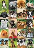 Review Jumbo 01504 / Jumbo Puzzle - Keith Kimberlin Collection - Pick a Friend (500 pieces)