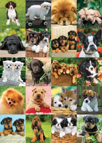 Childrens Toyshop  Toys : Jumbo Puzzle - Keith Kimberlin Collection - Pick a Friend (500 pieces)