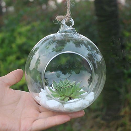 Clear Round Hanging Glass Vase Bottle Terrarium Hydroponic Container Planter Pot Flower DIY Home Table Decor