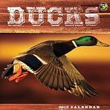 2012 Ducks Wall Calendar