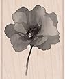 Hero Arts Painted Poppy Woodblock Stamp