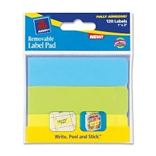 Avery Removable Label Pad, 1 x 3 Inches, Assorted, Neon, 120 Labels (22011)