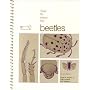 How to Know the Beetles