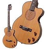 ARIA SP-GM2