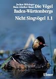 Produkt-Bild: Die V&ouml;gel Baden-W&uuml;rttembergs Band 2.0 - Nicht-Singv&ouml;gel1.1, Nandus bis Flamingos