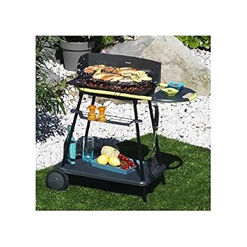 barbecue charbon bois qooka f550