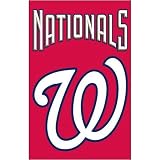 Washington Nationals Banner Flag