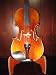 Vio-music Full-size 4/4 Advanced Violin, with Wooden Shell Case and Pernambuco Bow
