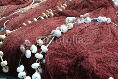 Wallmonkeys Peel and Stick Wall Decals - Les Flets En Vrac - 18