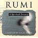 Rumi: A Spiritual Treasury