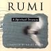 Rumi
