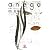 anego (小学館文庫)