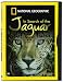 National Geographic: In Search of the Jaguar