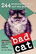 Bad Cat