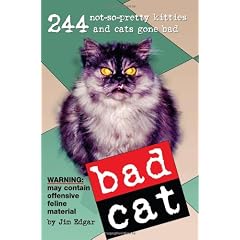 Bad Cat: 244 Not-So-Pretty Kitties And Cats Gone Bad