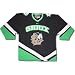 Search : North Dakota Fighting Sioux Nike Replica Third Hockey Jersey