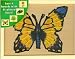 Lacing Box Wooden box stores all 4 pieces Melissa & Doug