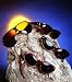 Wallmonkeys Peel and Stick Wall Decals - Four Sunglasses over a Nice Stone - Removable Graphic