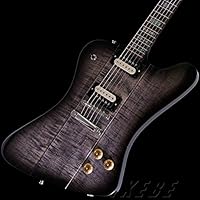 Gibson Custom Shop ギブソン 松本孝弘シグネイチャーモデル CUSTOM SHOP TAK MATSUMOTO FIREBIRD (TRANS BLACK BURST)
